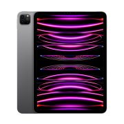 iPad Pro 11" Wi-Fi + Cellular M2 (4th Gen) iPad Pro 11" Wi-Fi + Cellular M2 (4th Gen)